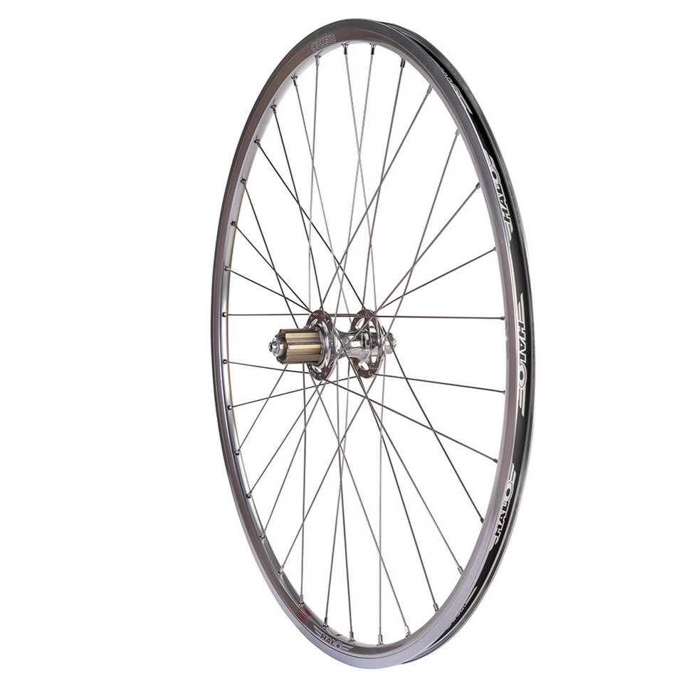 Halo Retro Hinterrad (Shimano oder Campagnolo)